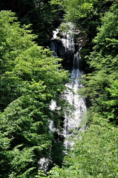 Güzeldere Şelalesi Tabiat Parkı
